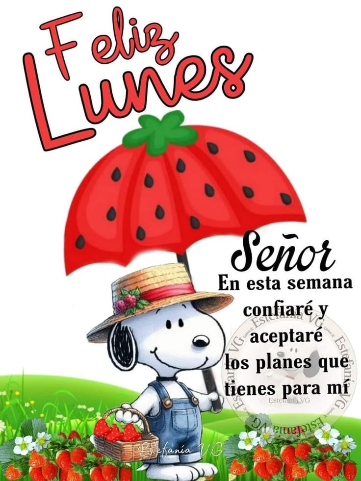 Juan Franco tweet media
