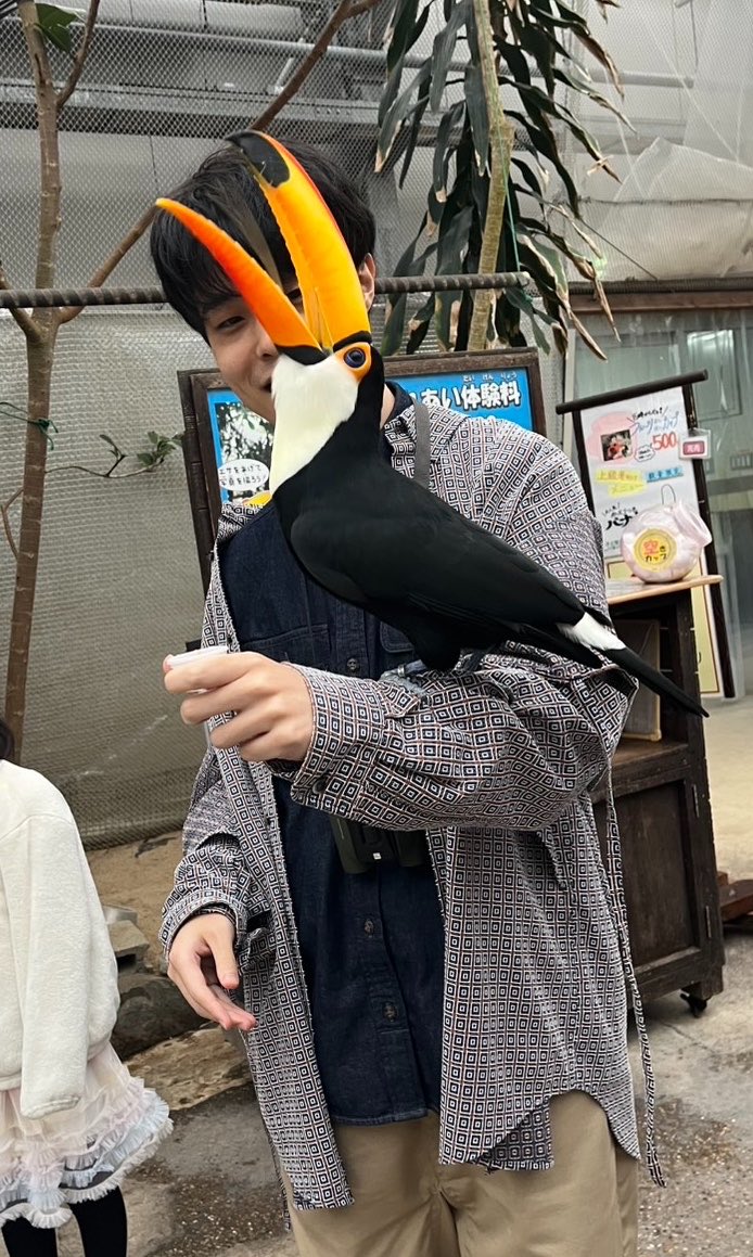 インゲン tweet media