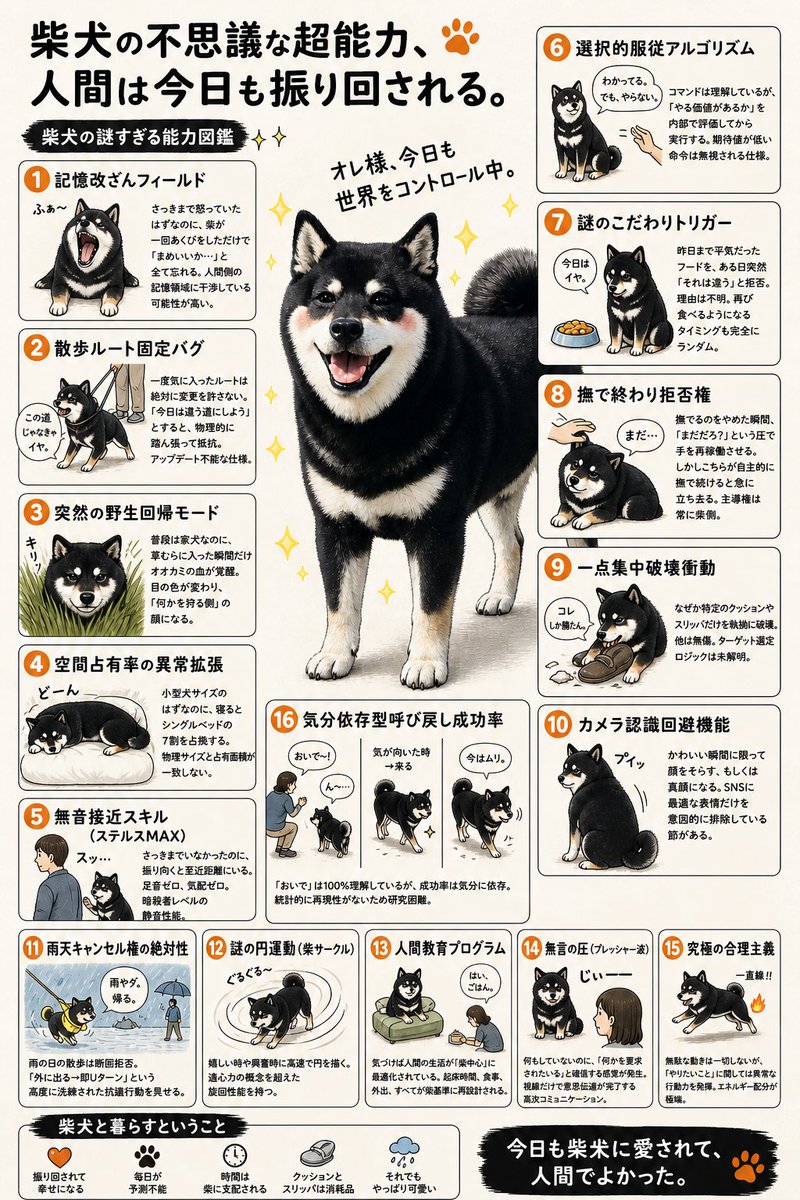 黒柴ワッくん tweet media