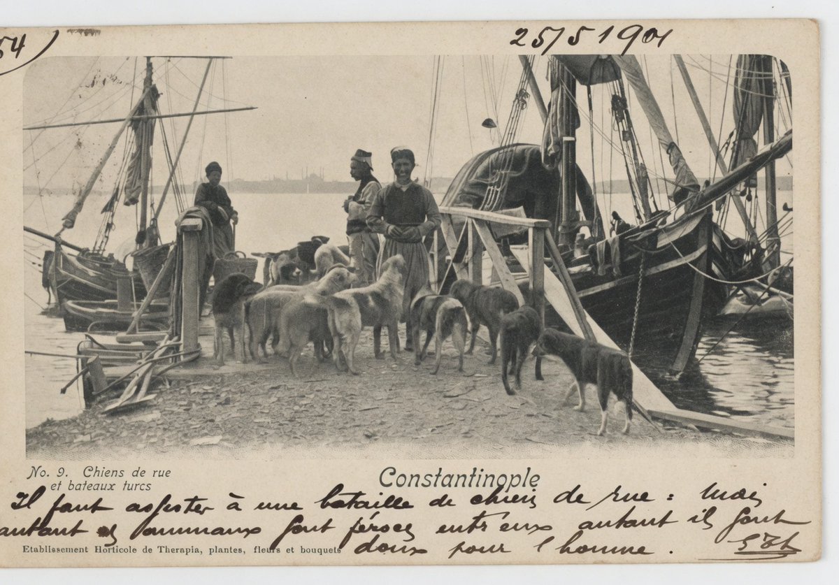Istyeradlari's tweet photo. Üsküdar Yük İskelesi ve Sokak Köpekleri

1901 tarihli kartpostal üzerinde el yazısı ile büyük olasılıkla:
"Il faut assister à une bataille de chiens de rue : mais autant les animaux sont féroces entre eux autant ils sont doux pour l'homme."

"Sokak köpeklerinin bir kavgasına şahit olmak lazım: ancak bu hayvanlar birbirlerine karşı ne kadar vahşiyseler, insana karşı o kadar uysaldırlar." 
AI destekli tercüme neticesinde bunlar yazıyor sanırım. 

(sokak, insan, isim derken gündemi de kaçırmayalım :))