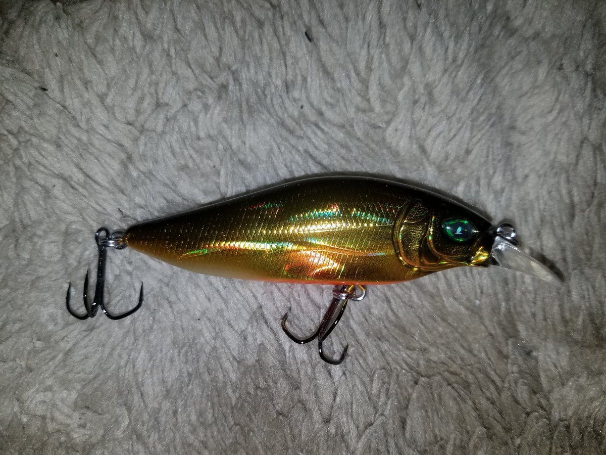 12Hidehide's tweet photo. 今日のお買い物
割引券があったので何かを

メガバス
フラップスラップ

カラーはSP-C
ジキル&amp;ハイド

右側と左側のカラー違い
これは釣れたな https://t.co/tQCP3wpuhF