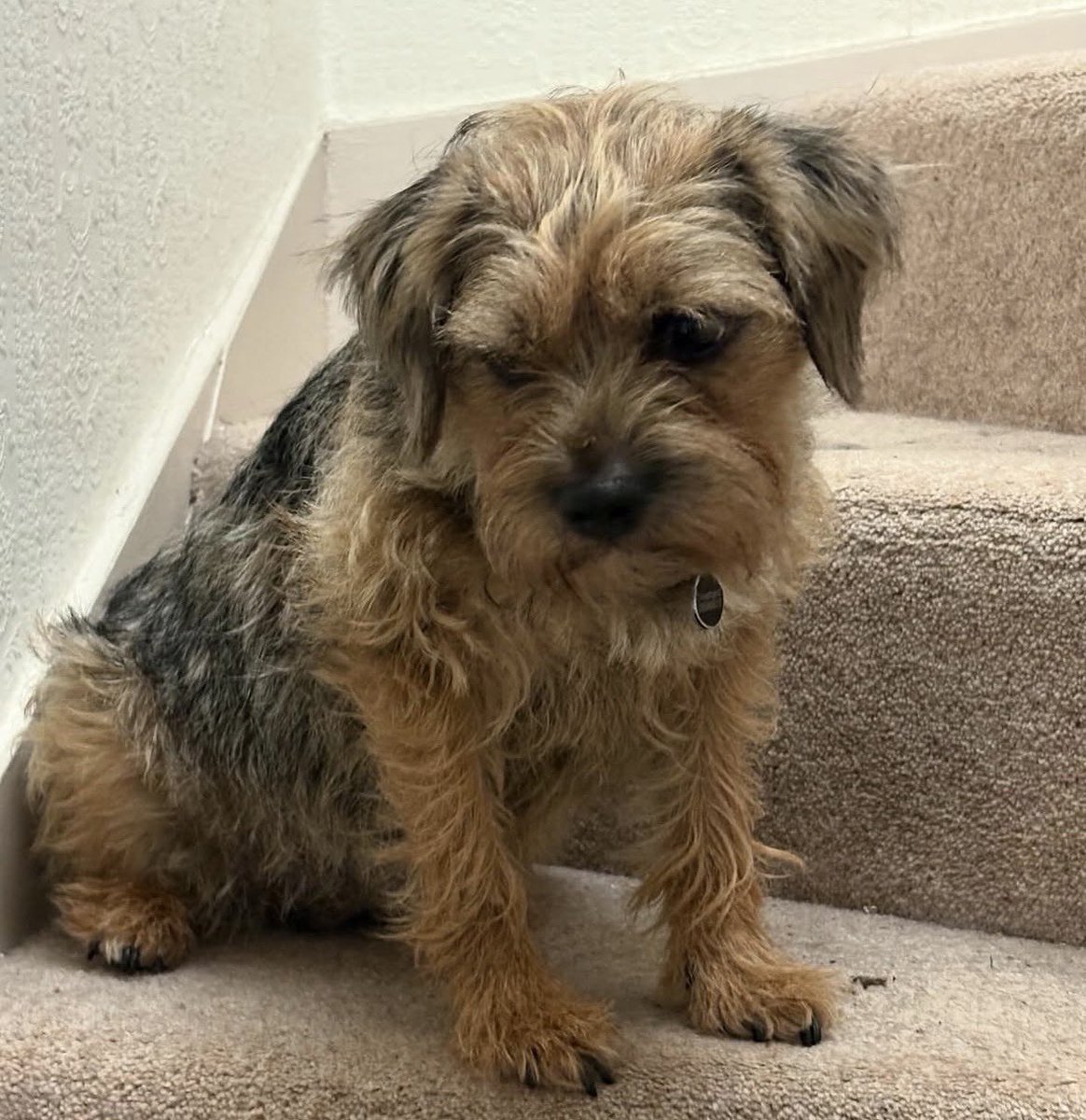 Miss Scraggy Agnes tweet media