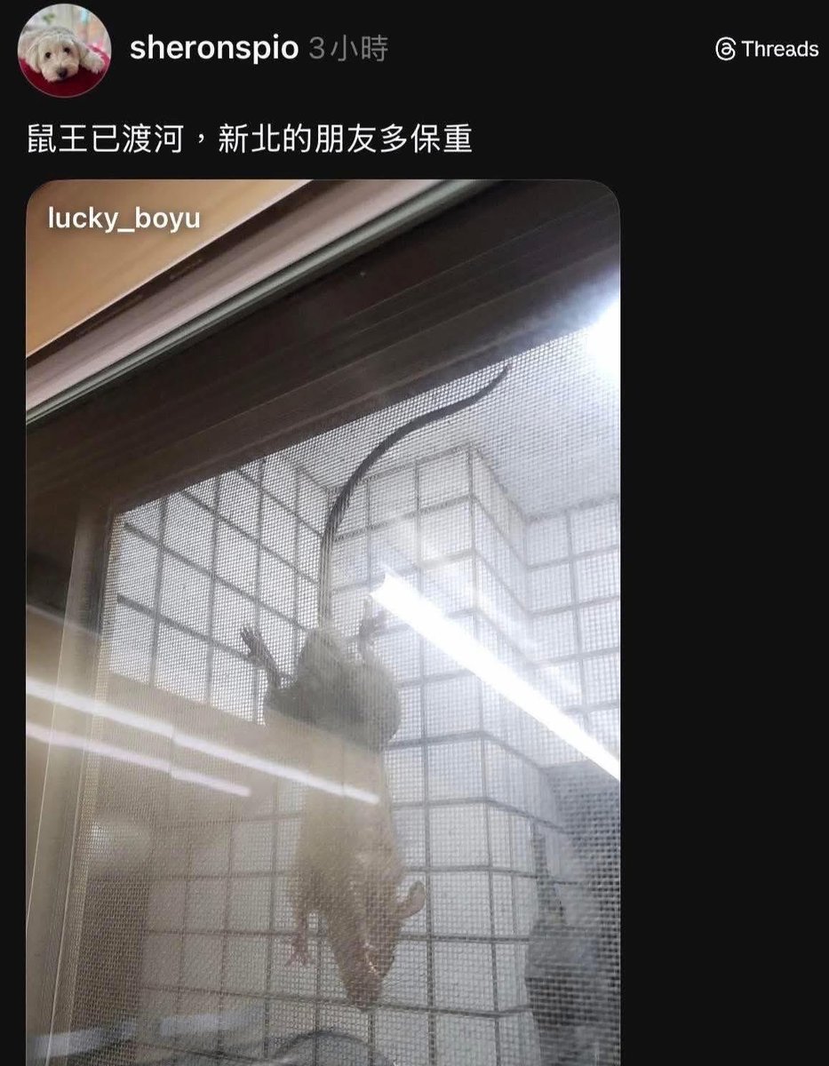 Winosaur tweet media
