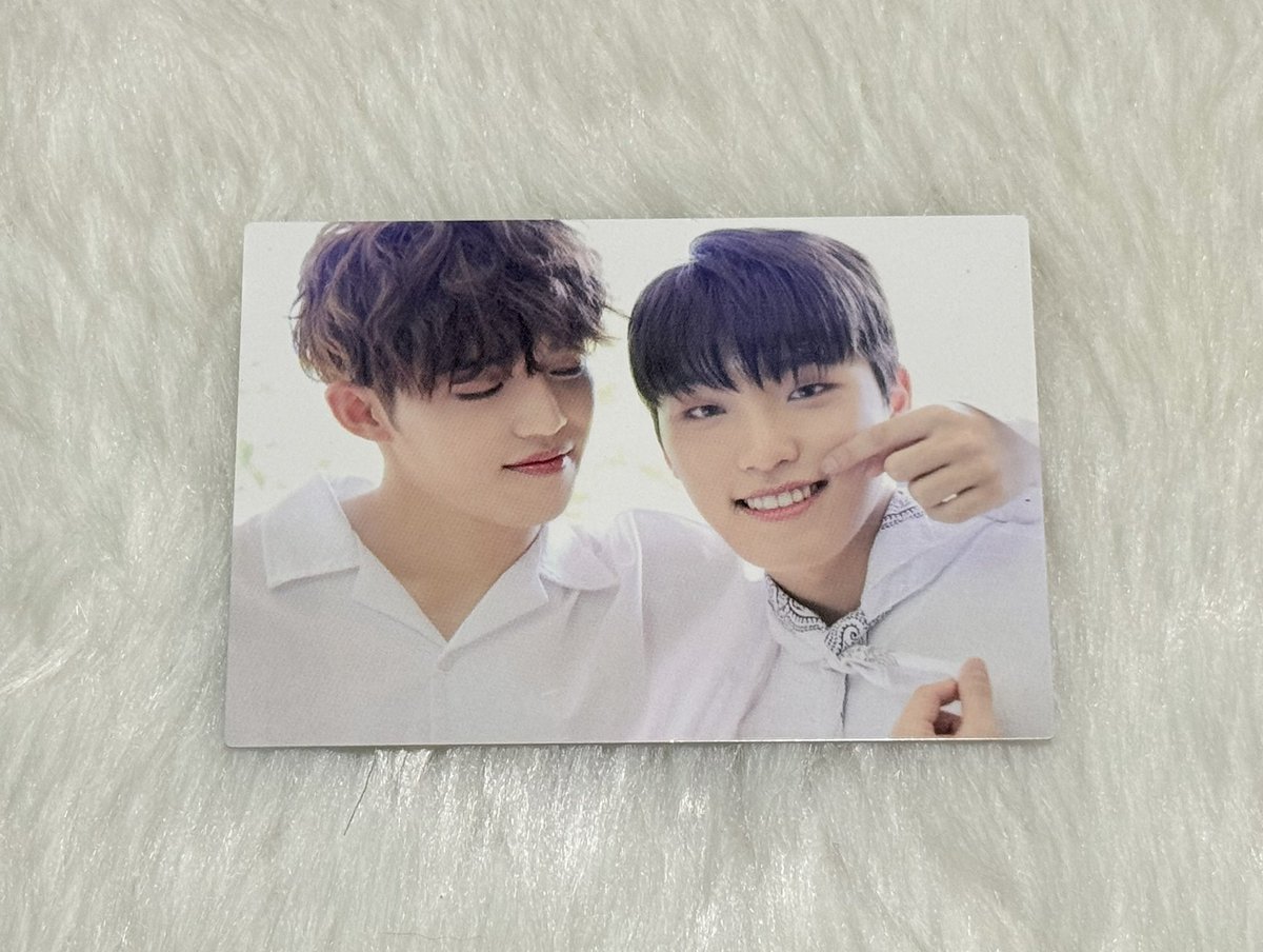 hancheolace's tweet photo. wts lfb ph 

scoups dino otp 
— 350
— PAYO
— onhand
— x sensi 

reply/dm to claim!

t. seventeen svt seungcheol lee chan cheolchan pc ideal cut japan jp trading card tc https://t.co/oKaqO61Q2s