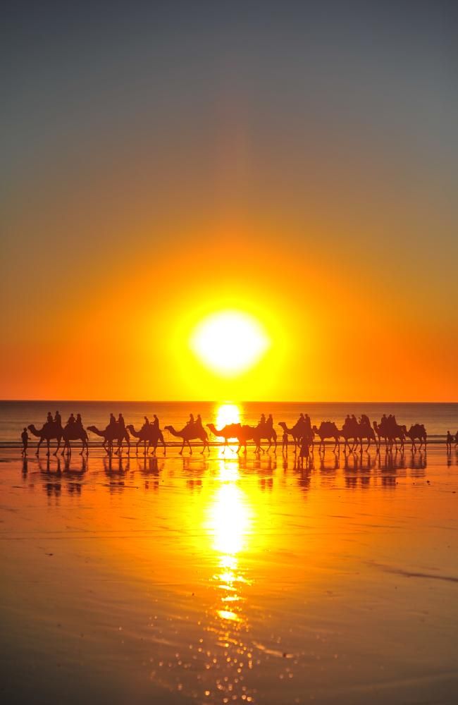 angelicaio81153's tweet image. Spectacular Sunset , Cable Beach , Broome Australia 
Camel Rides Safaris Broome 
#artistic #landscape #photography