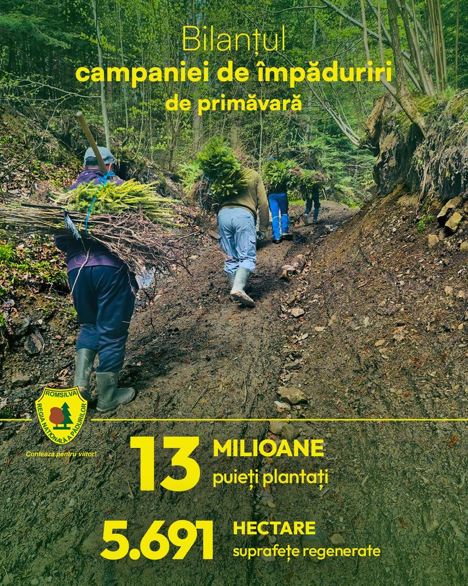 Regia Națională a Pădurilor - Romsilva tweet media