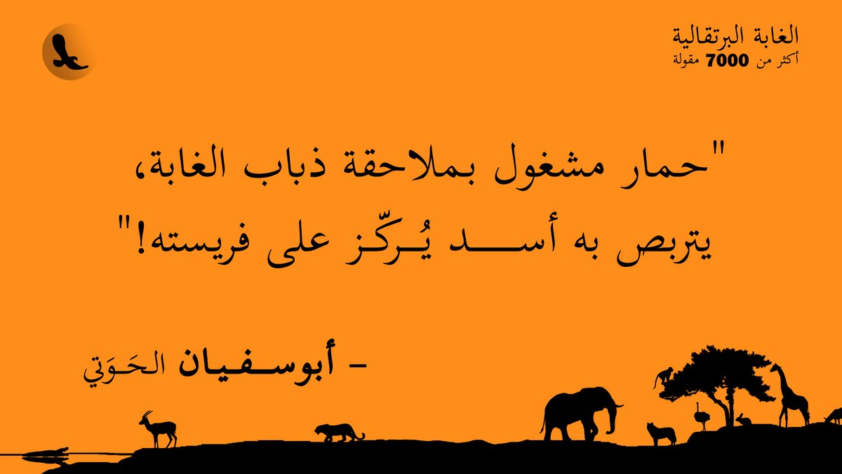 أبو سفيان tweet media