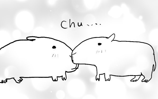 犬 tweet media