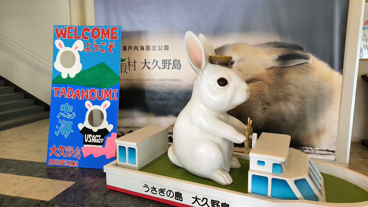 sinpei_museum's tweet photo. 今日は大久野島へ、うさぎさんワラワラで草 https://t.co/pSQNQ84oUv