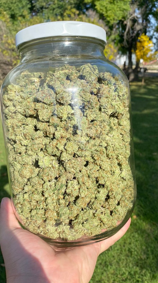 STONERS R US 🍃 tweet media
