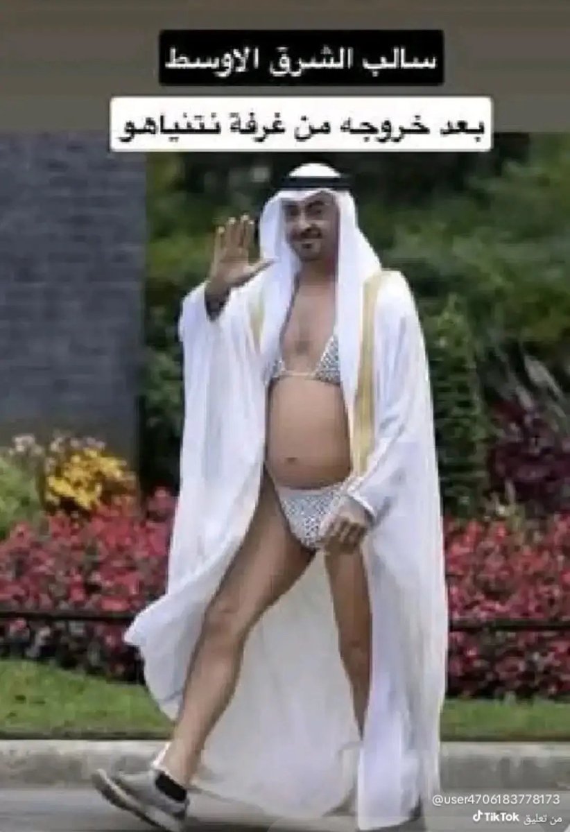 Saif Eldeen tweet media