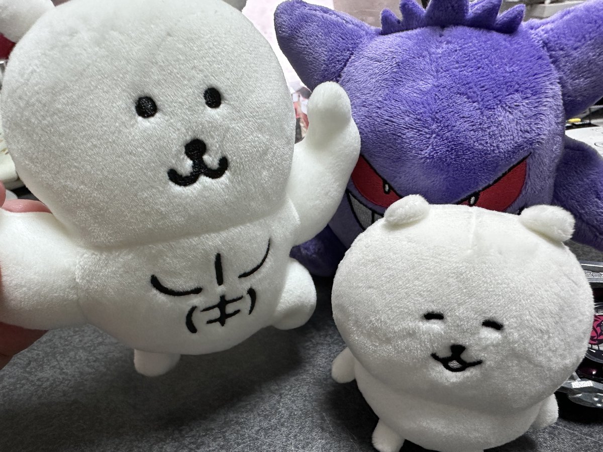 ナガノマーケットでとポケセン出張所で買った！