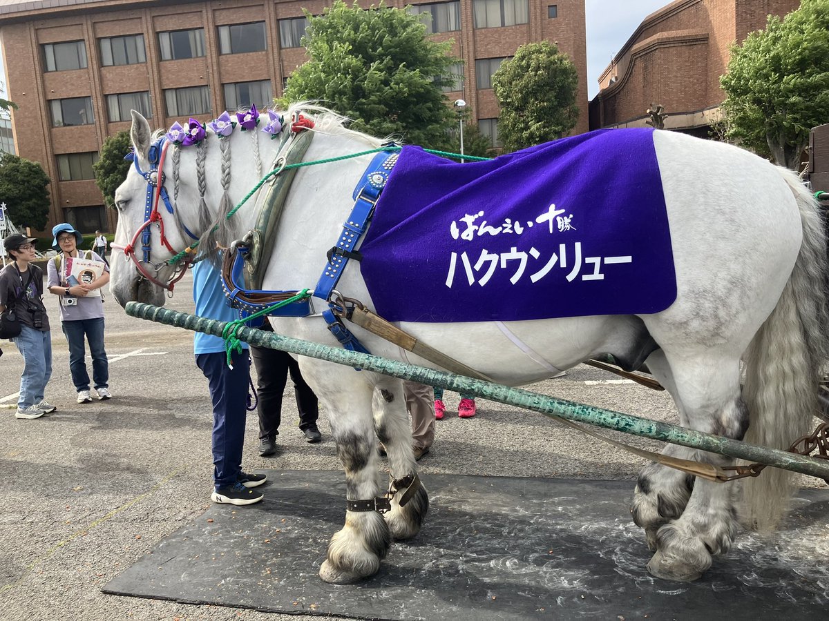 ジャックフルーツ tweet media