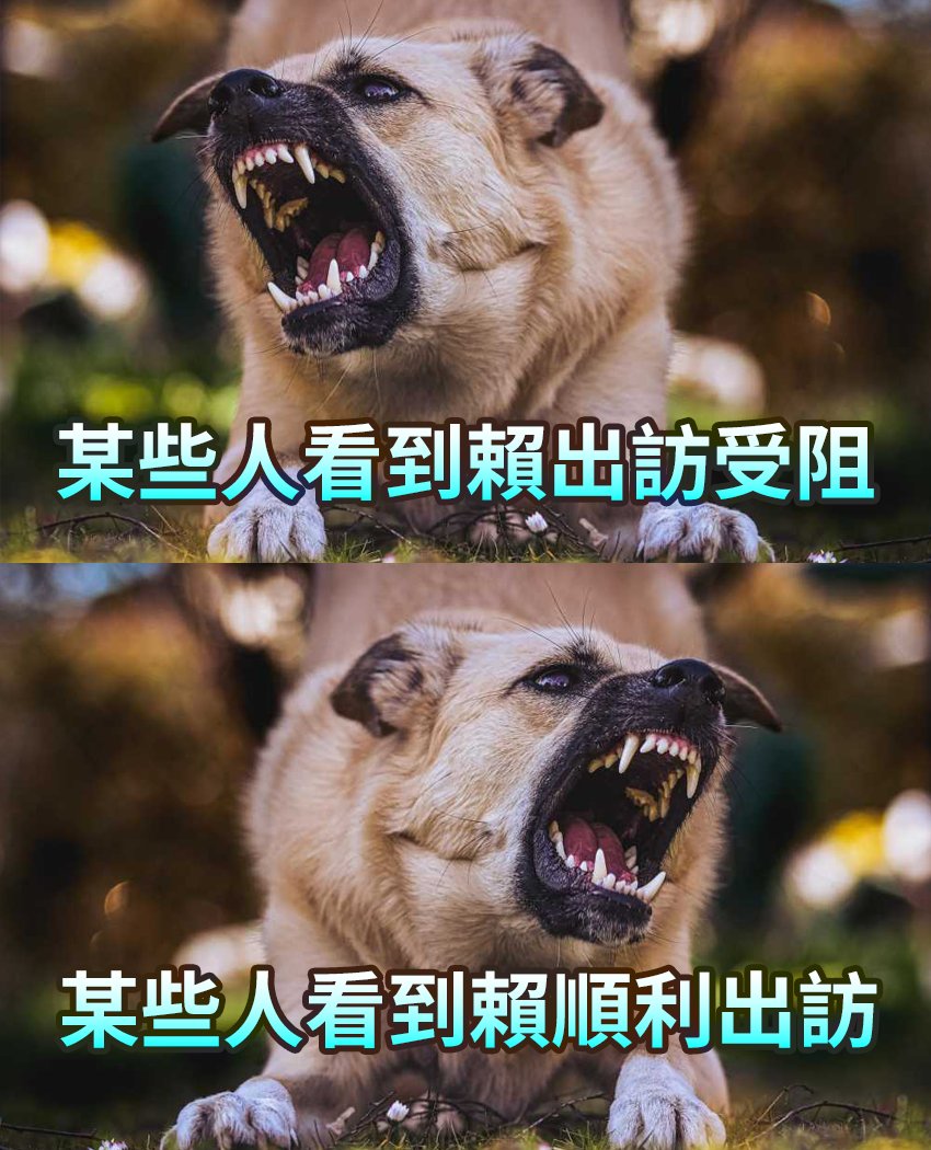 浮上水面吐口氣 tweet media