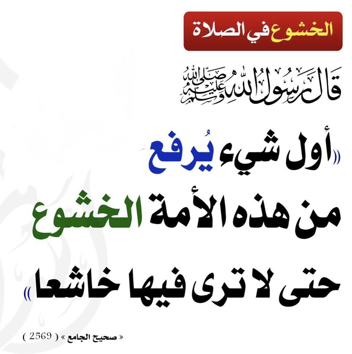 عبدالكريم بن حسن tweet media