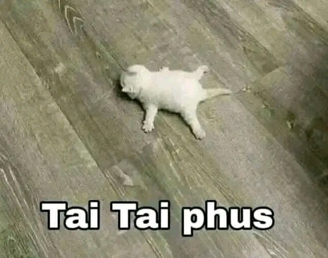 suzuya_96's tweet photo. Buhat Garmi hai Bhai sahab https://t.co/5p1OI7WcGi