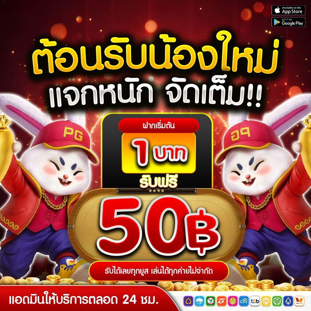 หมาน้อย ทุนฟรีตลอด🧧 tweet media