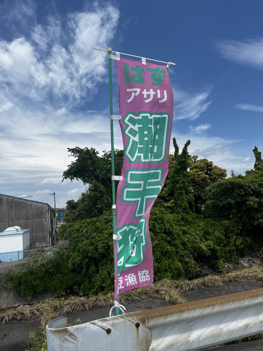 【新】みつおちゃん！ tweet media