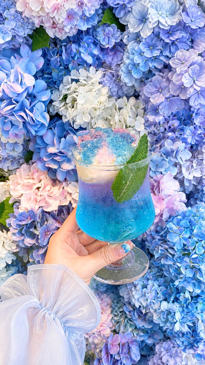 Happy花冠シャンパン麗しのブルーウォター 💠好評開催中💠 ☔••┈┈┈┈┈┈••✼••┈┈┈┈┈┈••☔ Hydrangea