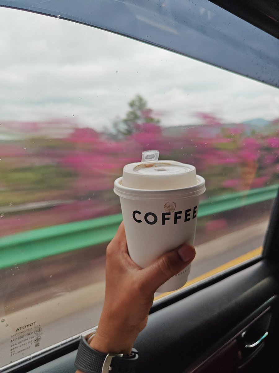 SoloWandergram's tweet image. The scenic route is the only route
#Bloom&amp;amp;Brew
