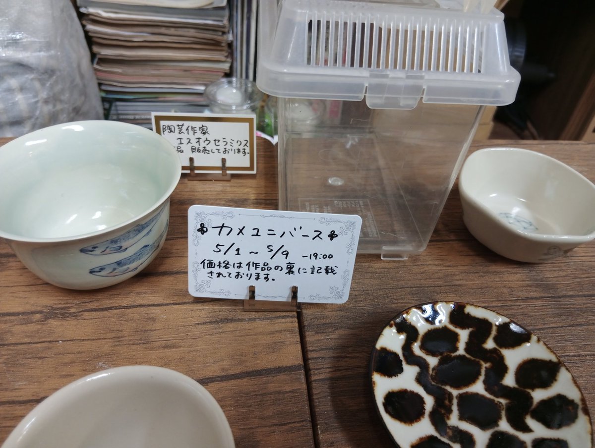🦍🍶🍺ぺこちゃん𝕏.Japan(怒)！ 🐢🦎🐍🐸🦔🕷🪳 tweet media