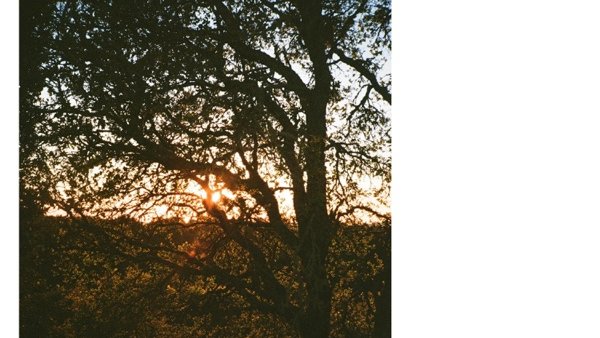 graintonic's tweet image. Absorbing and meditative folk piece filled with hypnotizing sonic layers.
#newtracktolove: Jenny Gillespie Mason - Rungs of Love
Review/Song: graintonic.blogspot.com/2026/05/jenny-…

#indiemusic #folkmusic #folk #singersongwriter #beautifulsong