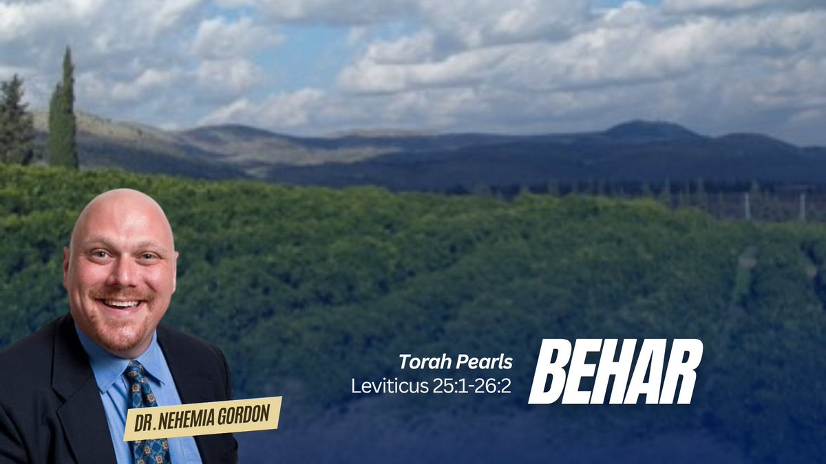 ngordon4's tweet photo. In this week's Original Torah Pearls, Behar (Leviticus 25:1-26:2), we discuss when is Shemitah (the Sabbatical Year), whether it should be observed outside of Israel, and whether the Yovel (Jubilee Year) is in 49th or 50th year. -->  https://t.co/zTJBdsLiuw https://t.co/g8NljEwLCL