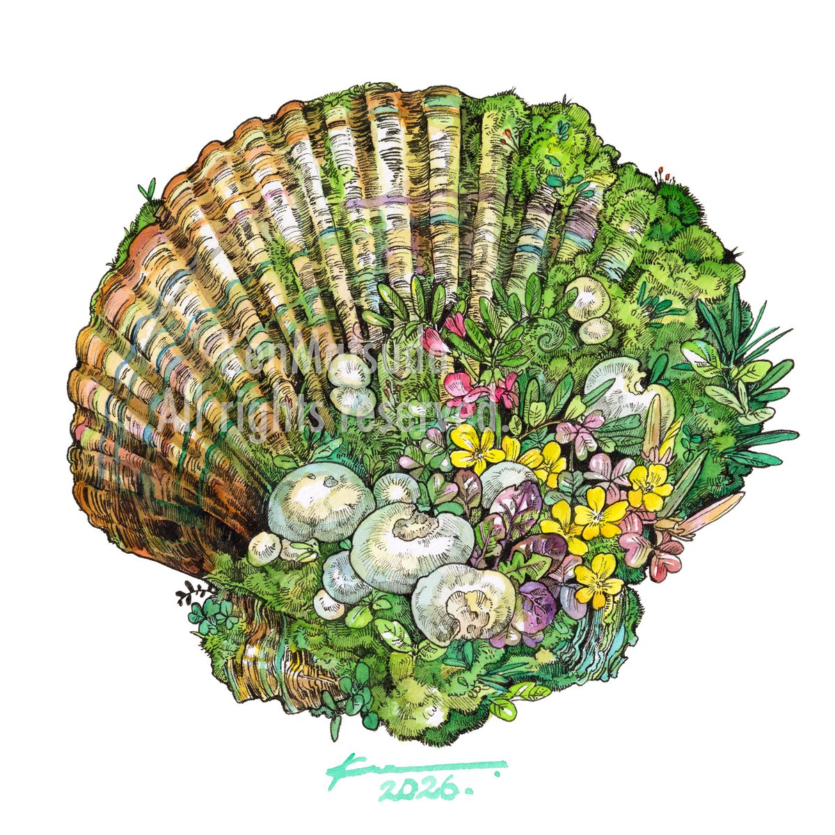 「苔帆立」|Keso Artのイラスト