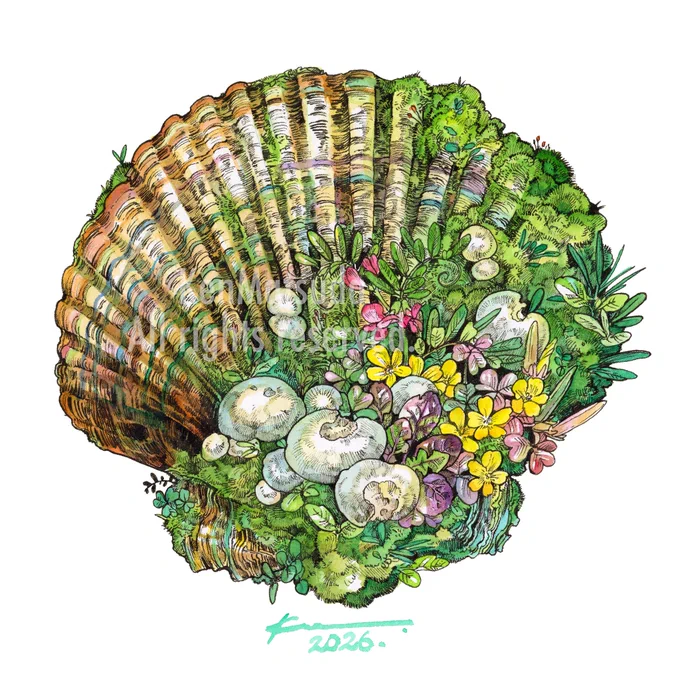 苔帆立