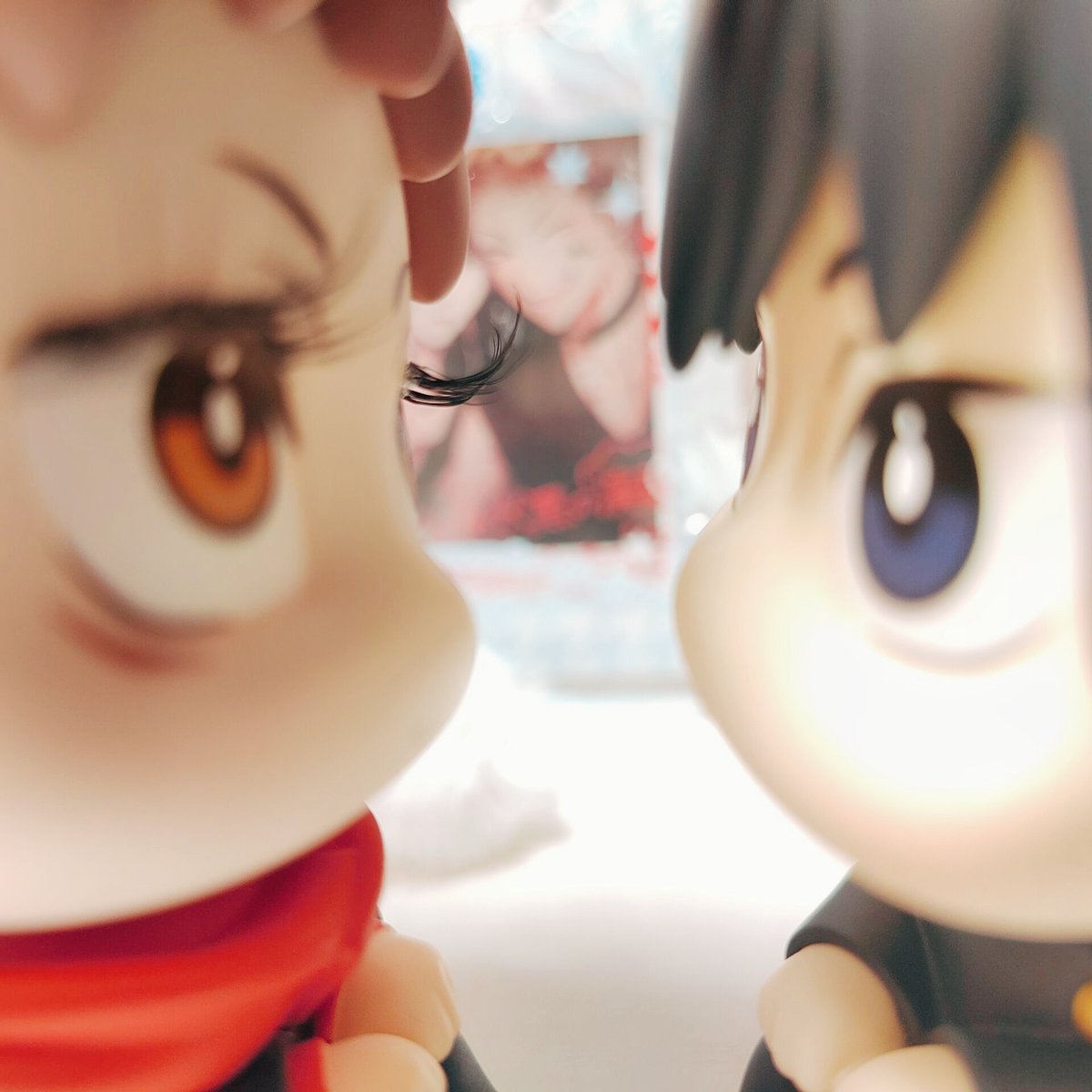 一斑貓 tweet media