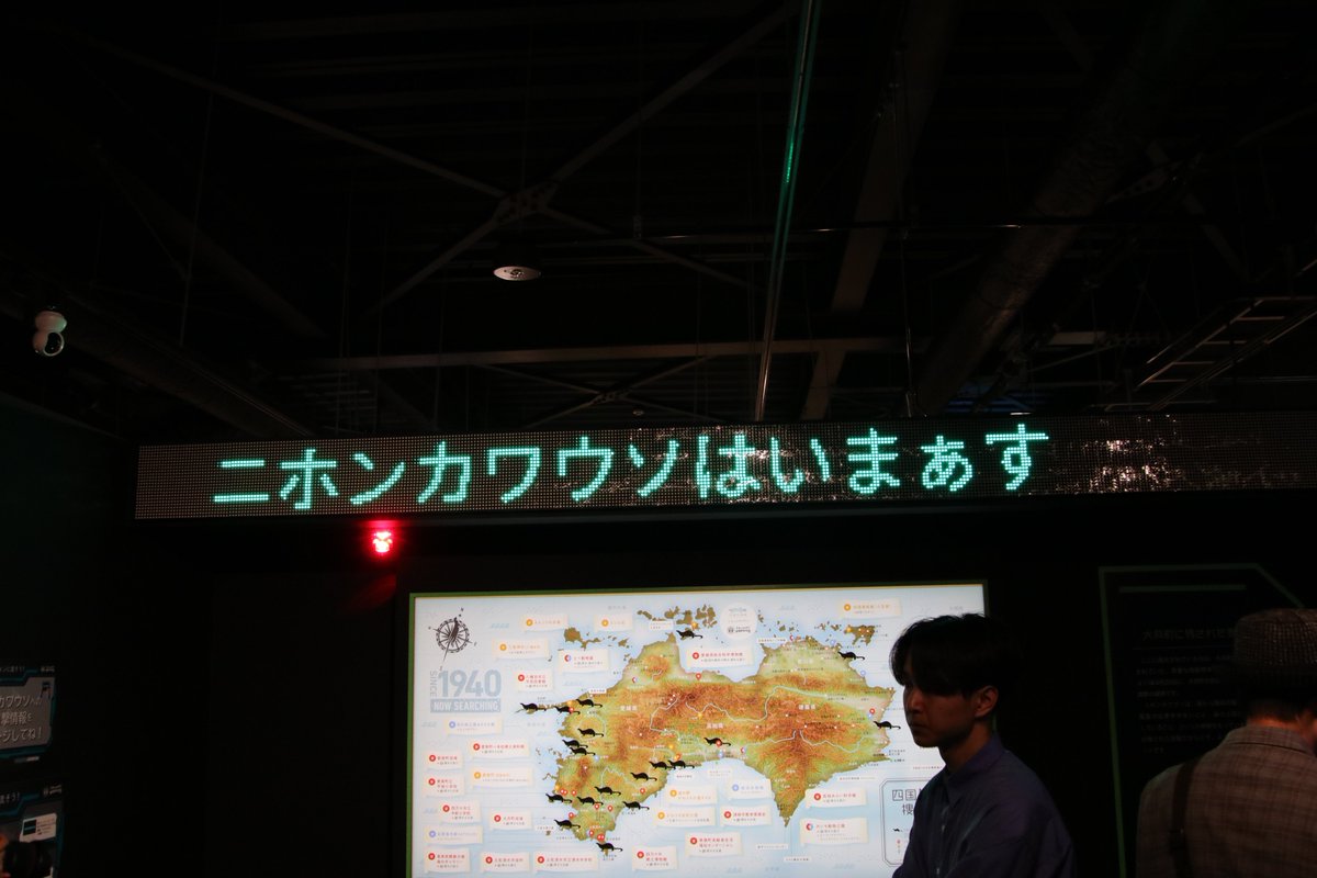 ぴょん tweet media