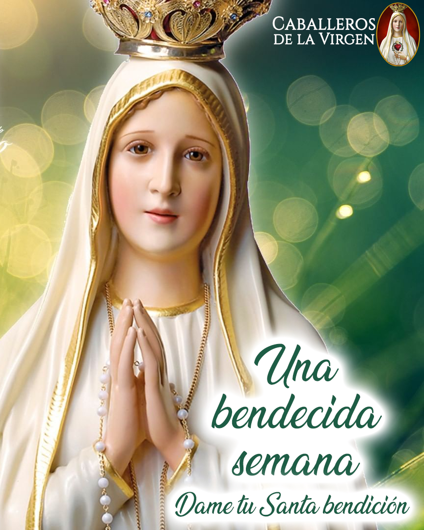Caballeros de la Virgen tweet media