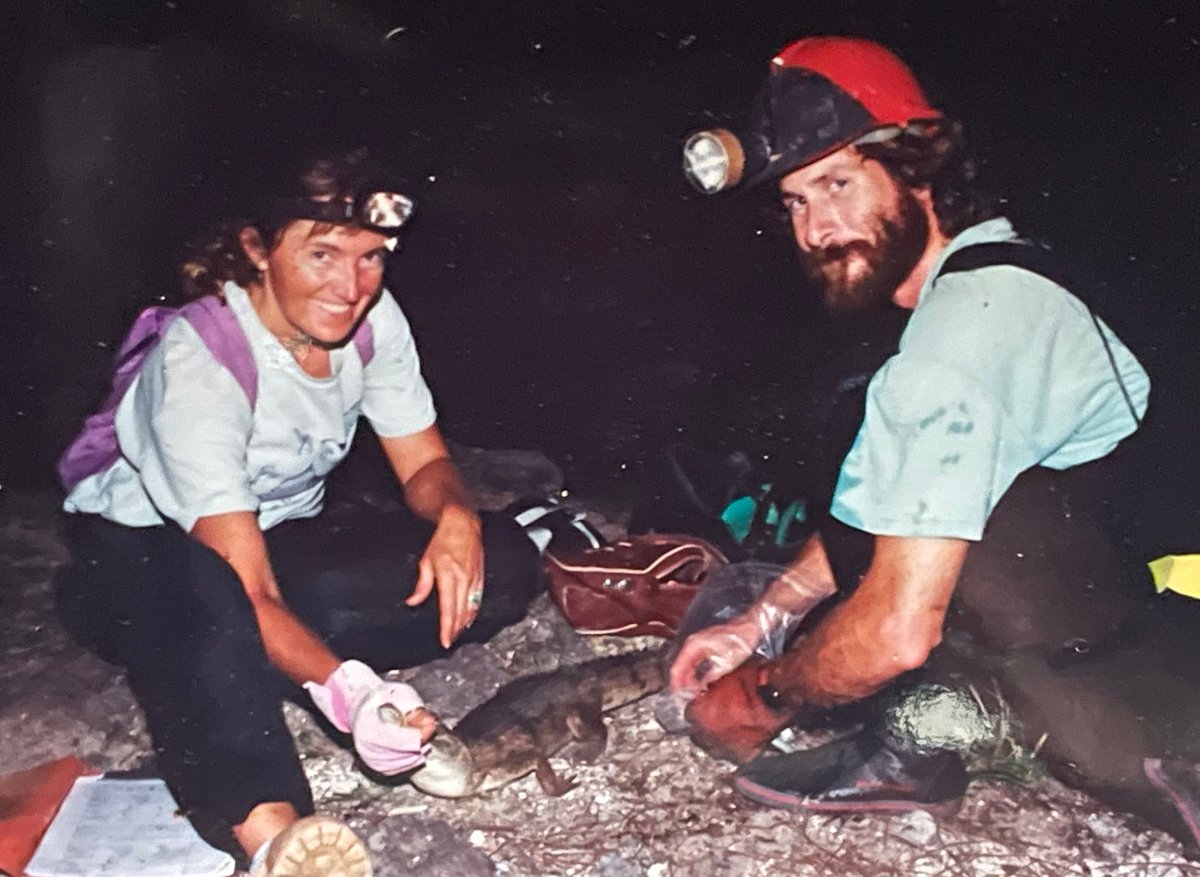 Crocodilian Specialist Group tweet media