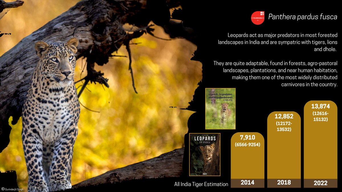 National Tiger Conservation Authority tweet media