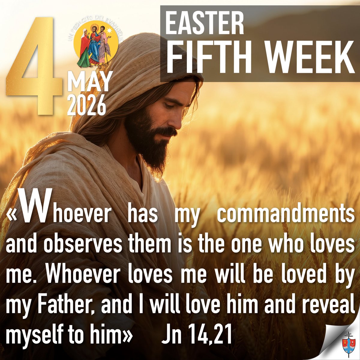 padrebernales's tweet image. 🟡 A little bit of Gospel•Fourth Week of Easter

#Easter #Gospel #DailyReadingsBible