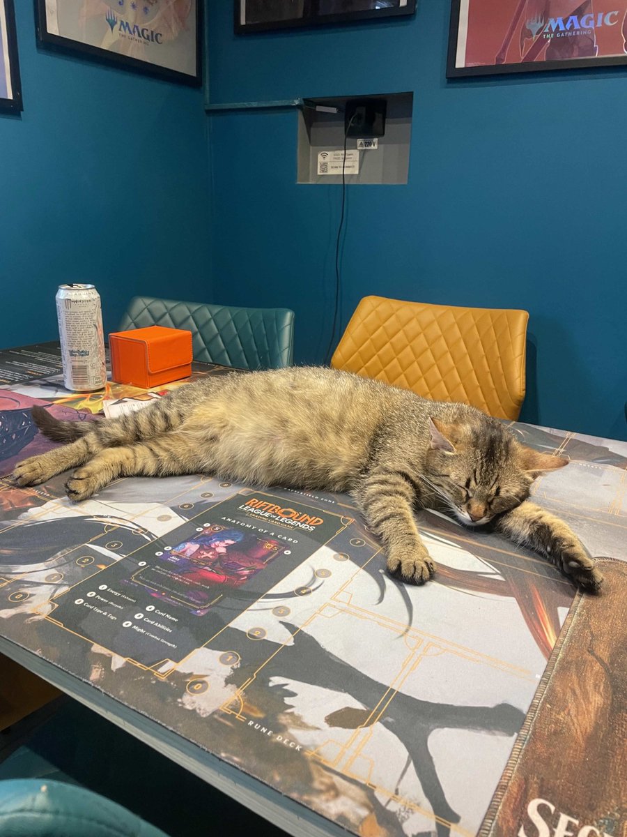 sliferslackerRB's tweet photo. best advertising team at my LGS
#riftbound #tcg #tradingcardgame https://t.co/hu0OG1R9TS