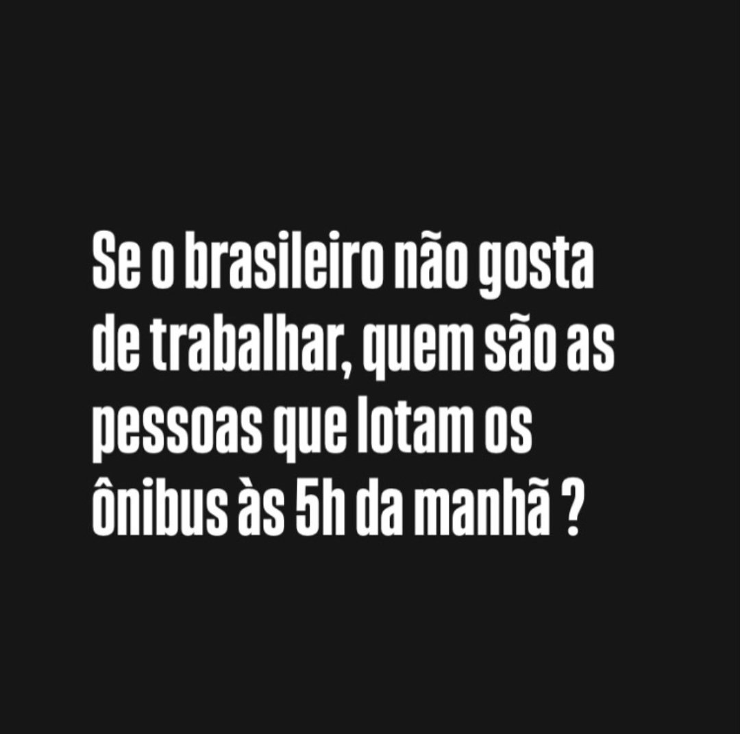 🐇 tweet media