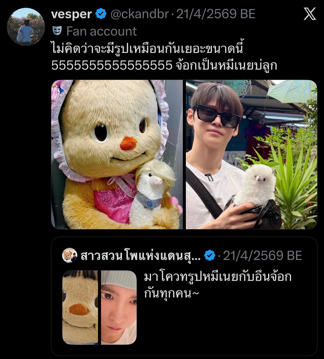 Brownie 🧸 tweet media