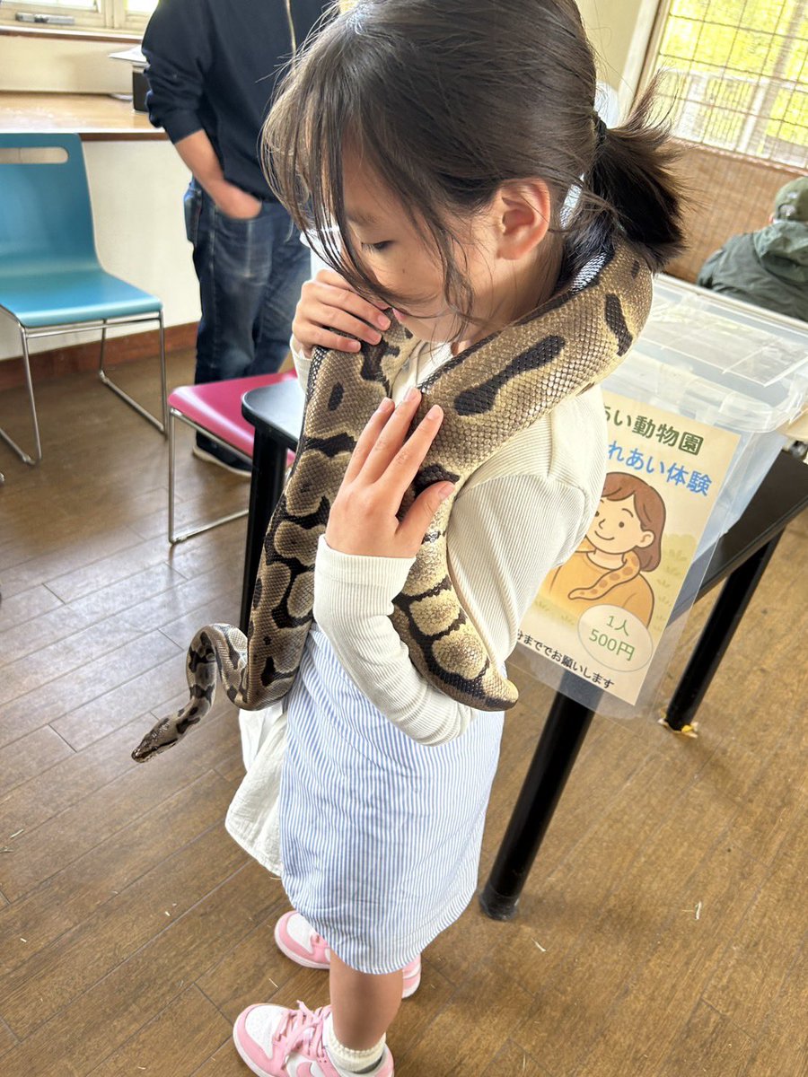 きょや tweet media