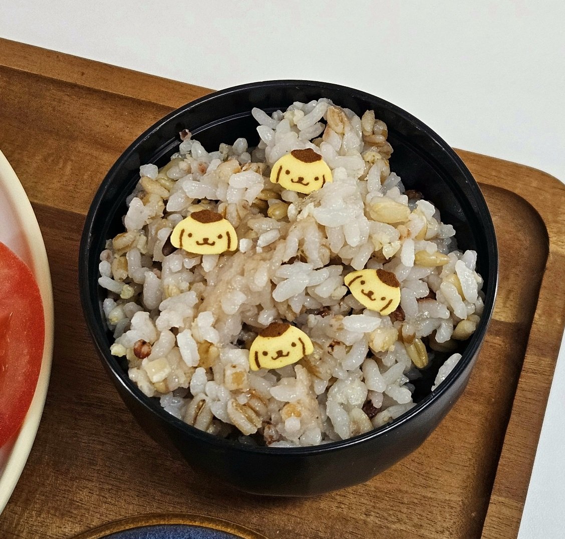 오늘의 꼬리 tweet media