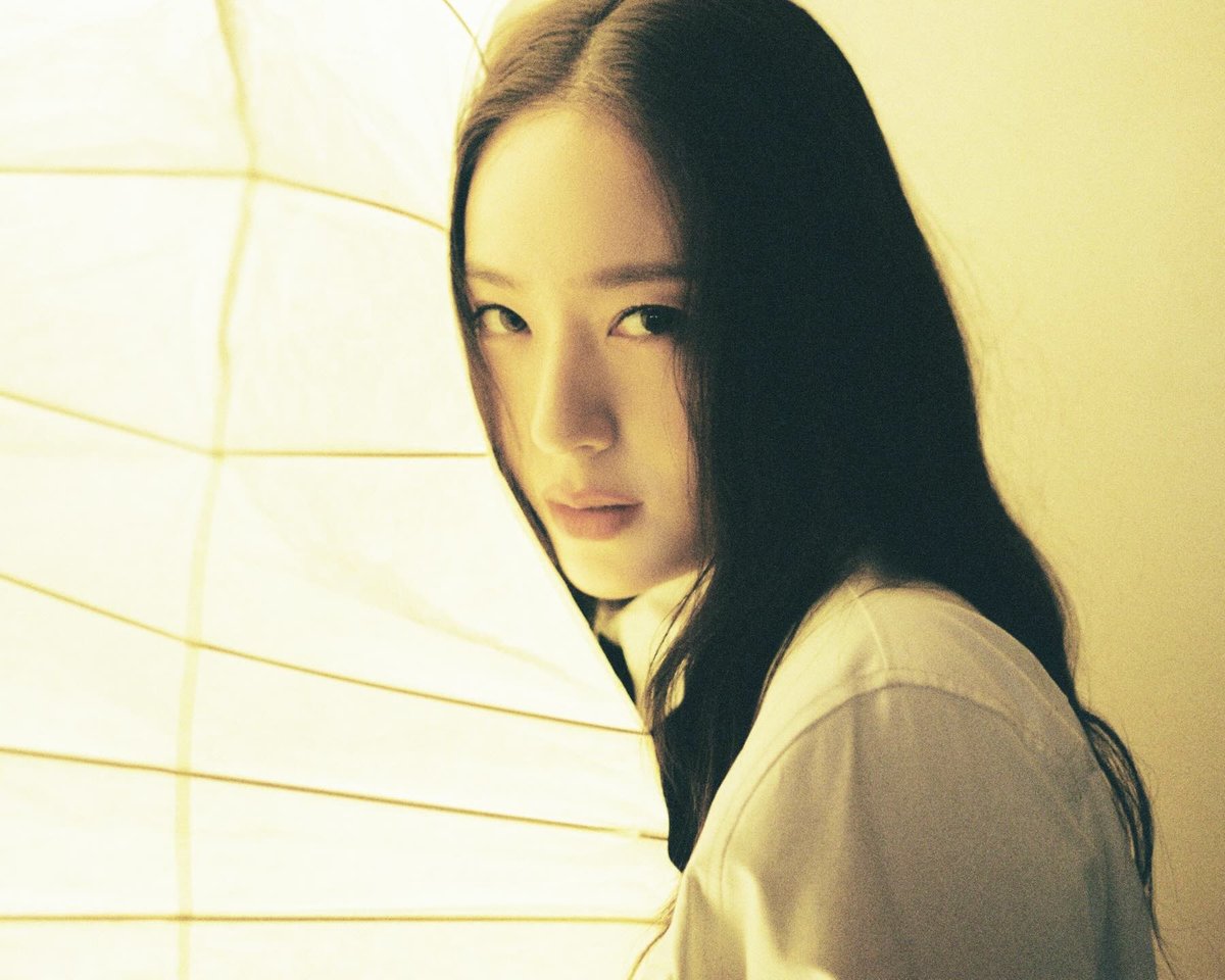 제트별 tweet media