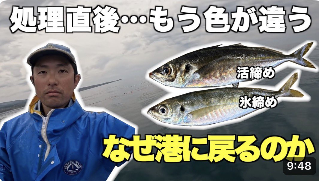 umibedessk's tweet photo. 19時に公開しました！
【漁師】80kgのアジを獲ってすぐ港に帰る理由
活締めと氷締めで処理直後の色が変わるのを比較してみました。
動画はこちらです
https://t.co/dU4TZRNh1Y
よかったらご覧ください。
#漁tuber #定置網 #秋田 #活締め https://t.co/2agpbWixd9