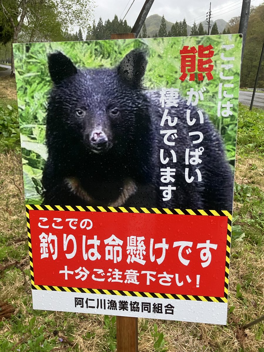 「山怪」　田中康弘 tweet media