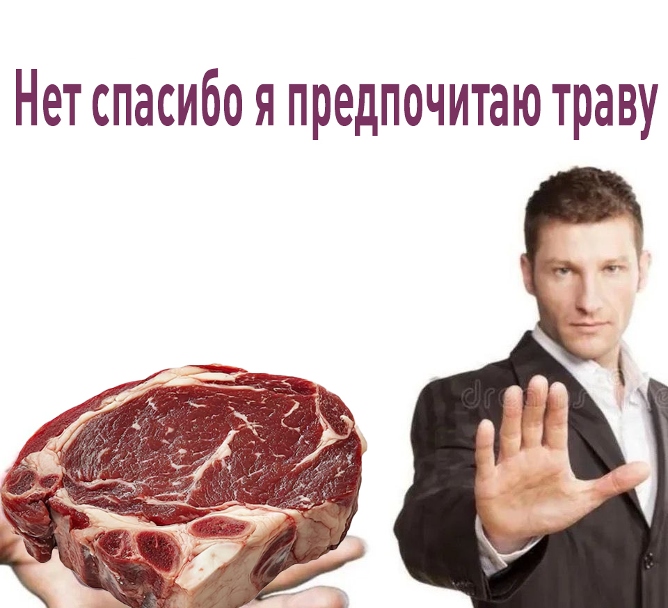Лентач tweet media