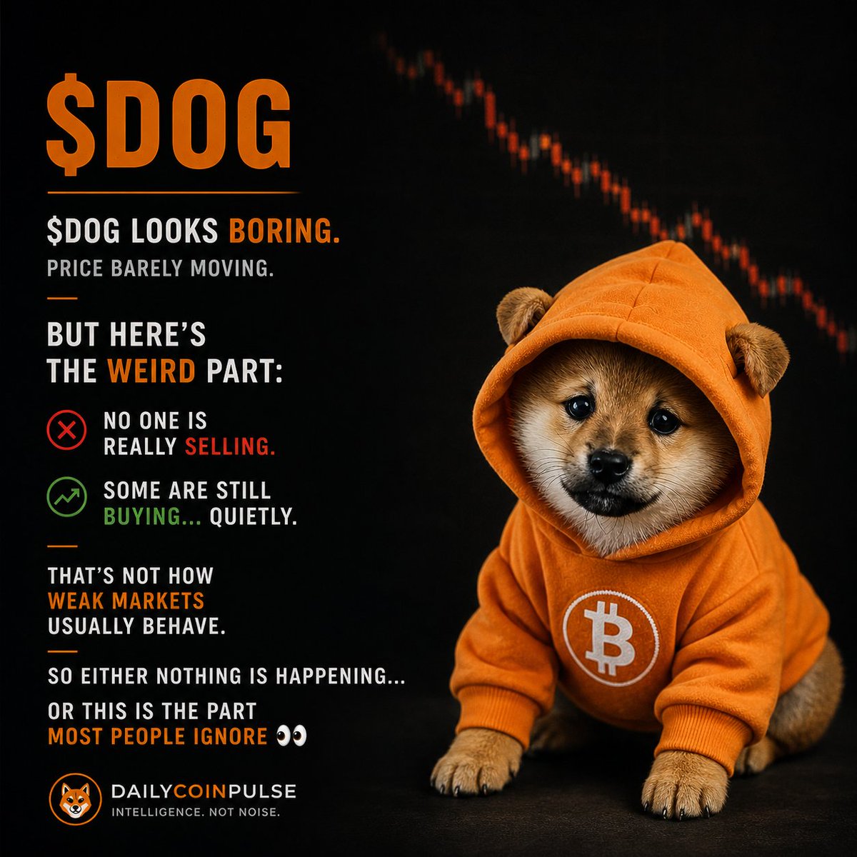 DOGPULSE 🟠 | $DOG Intelligence tweet media