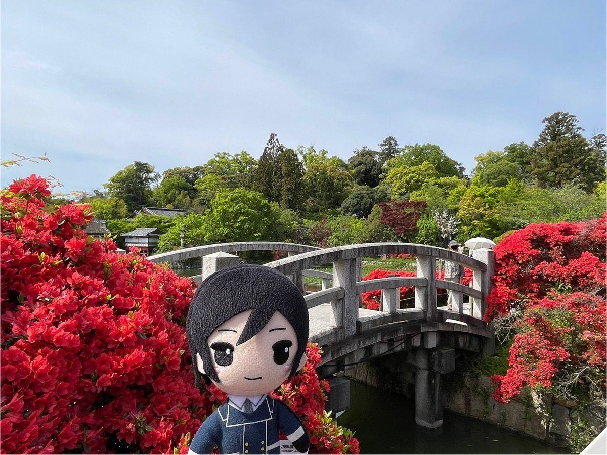 yagenui's tweet photo. こういう景色が似合うね、やげぬい https://t.co/zDQu9FNndv