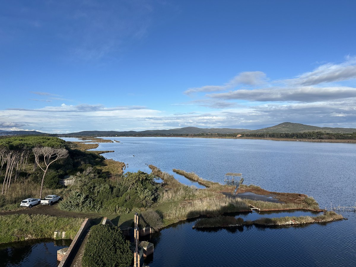 WWFitalia's tweet image. In Italia è già sparito il 75% delle zone umide. Con la Primavera delle #Oasi, il #WWF riapre al pubblico paludi, lagune, stagni protetti: ecosistemi vitali per #biodiversità, #clima e sicurezza dei territori
👇👇
bit.ly/4tNyDe6