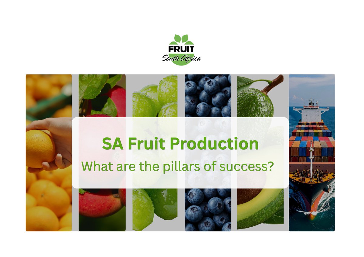 FruitSAfrica's tweet image. Key contributing pillars behind the millions of tonnes of fruit produced annually in SA.
✅ Infrastructure
✅ Market access
✅ World-class technology
✅ Employees
#fruitproduction #marketaccess #infrastructure #agritech #farmworkers