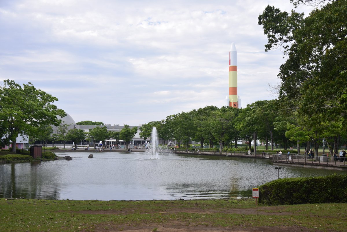 緑を見て来た