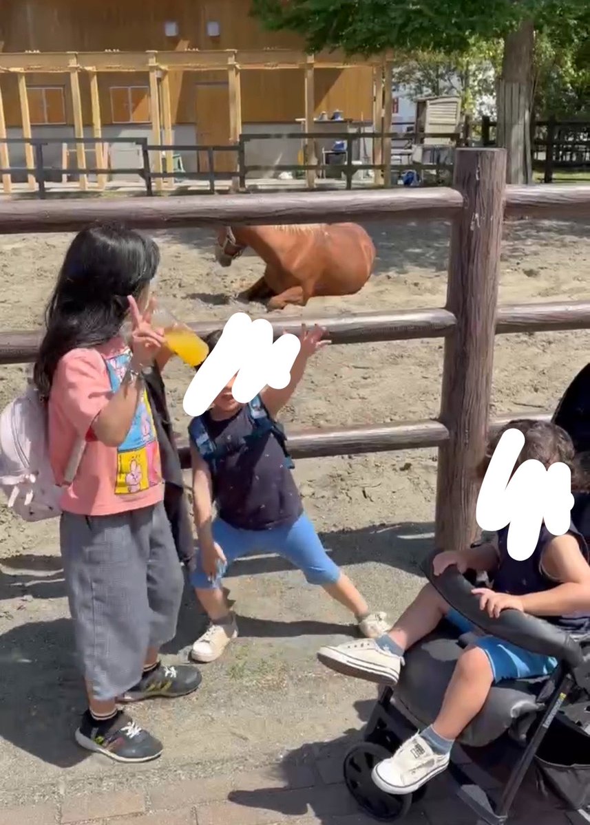 前倒しで動物園行ってきたー！
家帰って来ても
YouTubeで動物の動画見たり楽しんでくれて一安心。
明日仕事だけど3時に起きれるか不安(´･_･`)笑